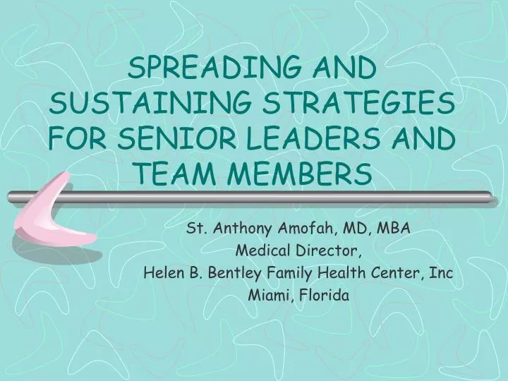 spreading and sustaining strategies for senior leaders and team members n.