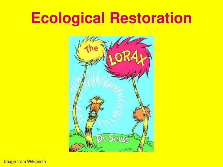 ecological restoration n.