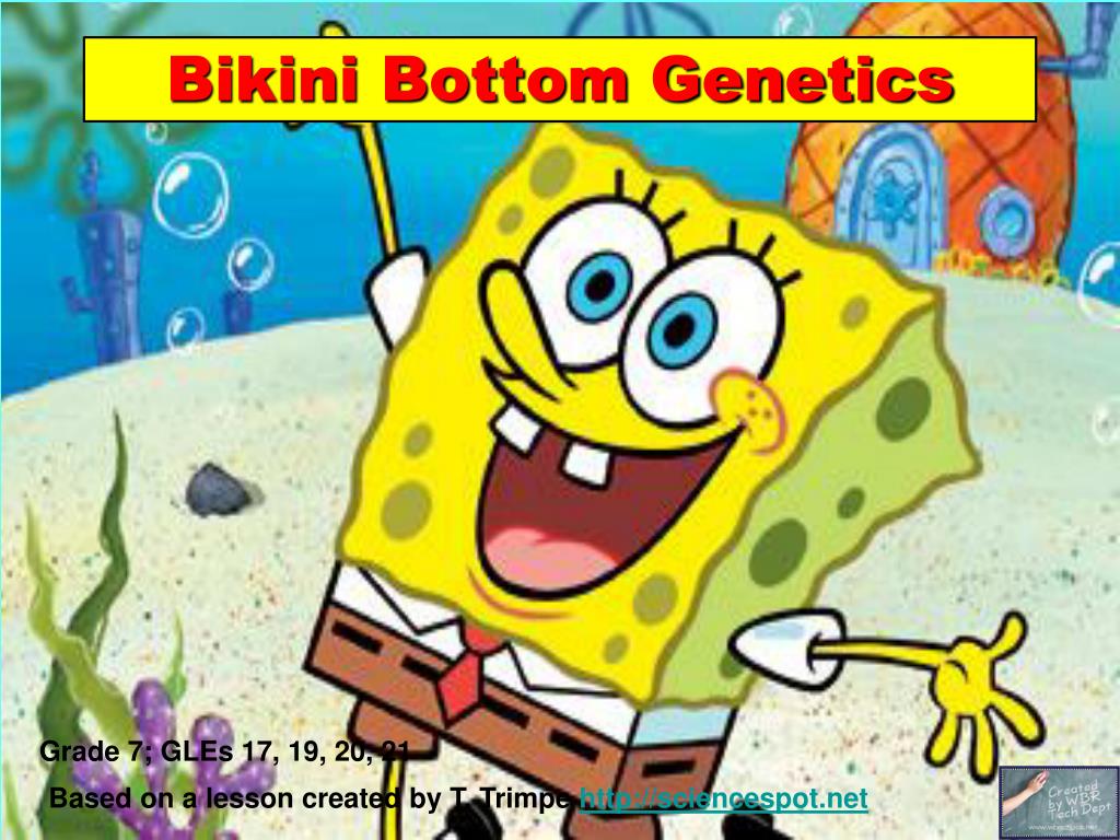 bottom plans Bikini lesson