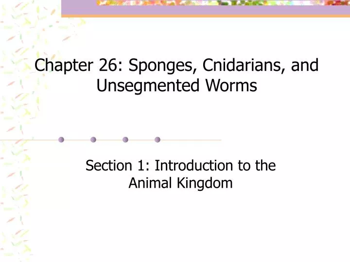 chapter 26 sponges cnidarians and unsegmented worms n.