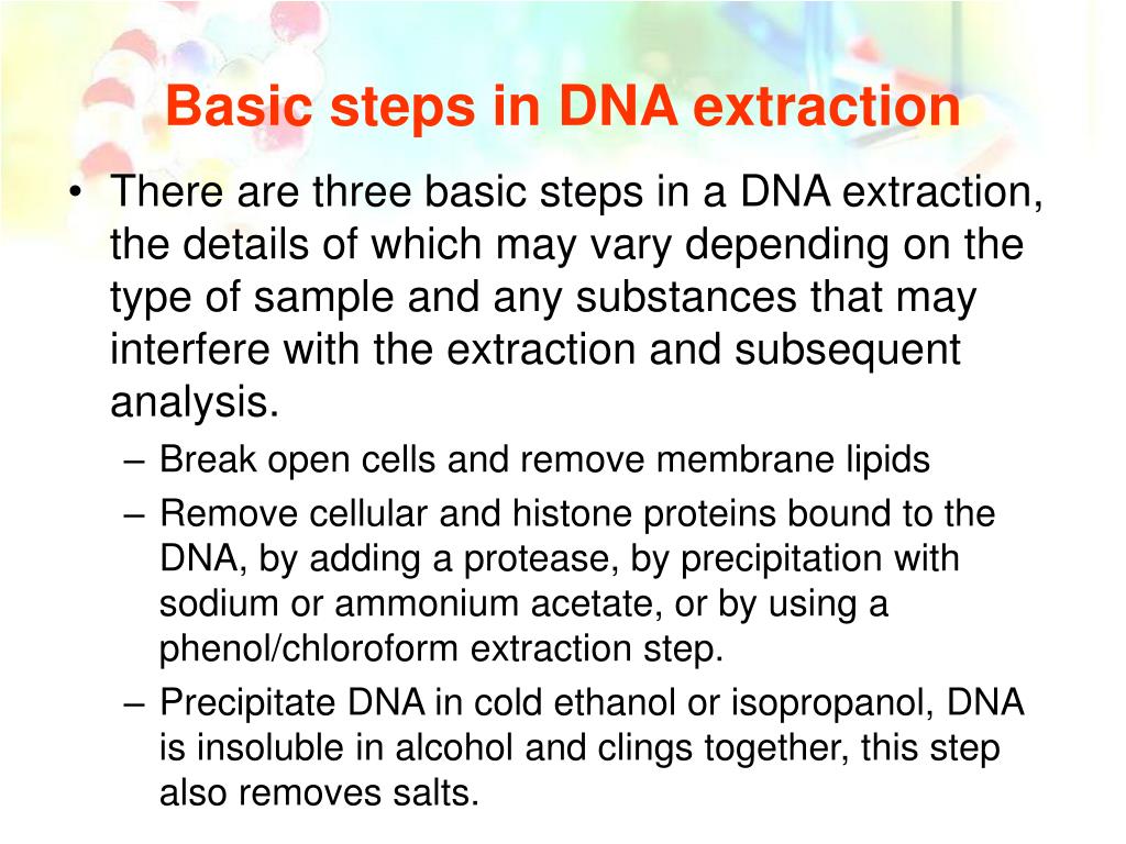 PPT - Extraction of Human DNA PowerPoint Presentation, free download ...