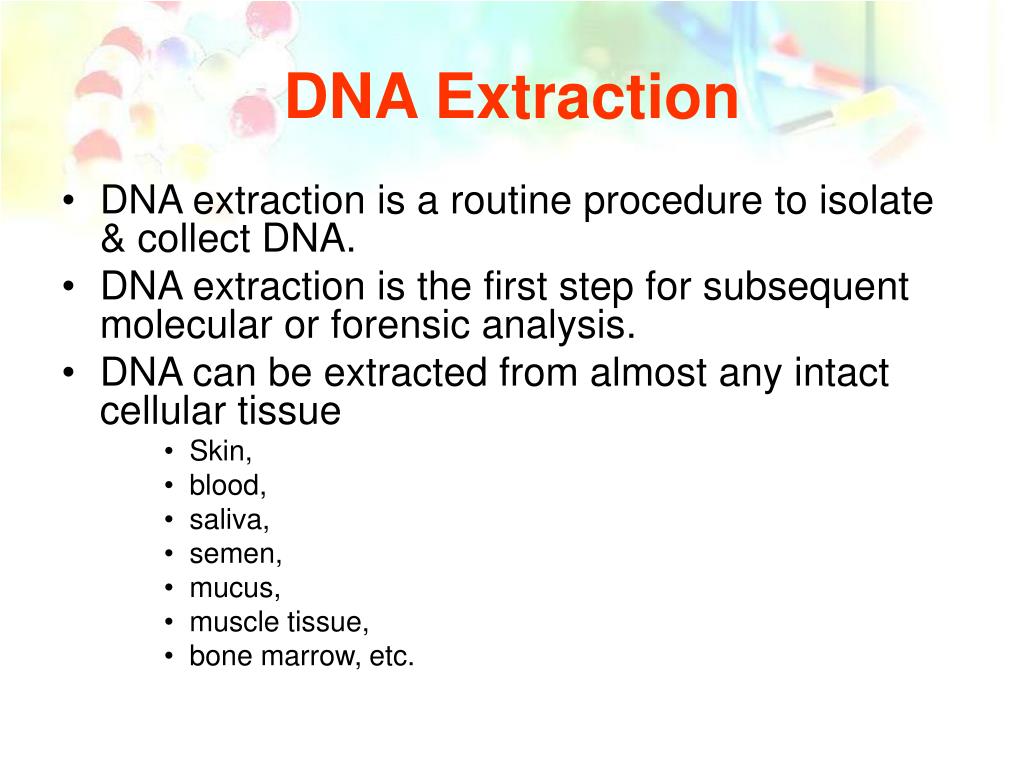 PPT - Extraction of Human DNA PowerPoint Presentation, free download ...