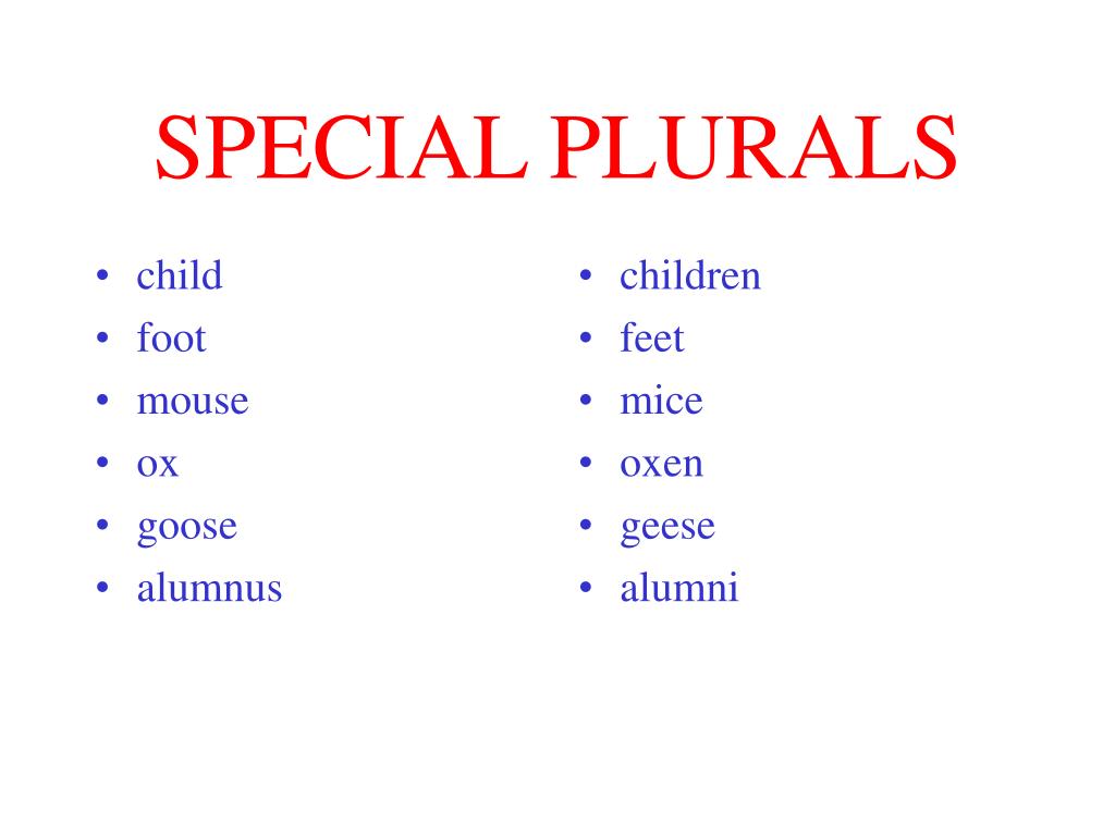 ppt-forming-plurals-powerpoint-presentation-free-download-id-3102768