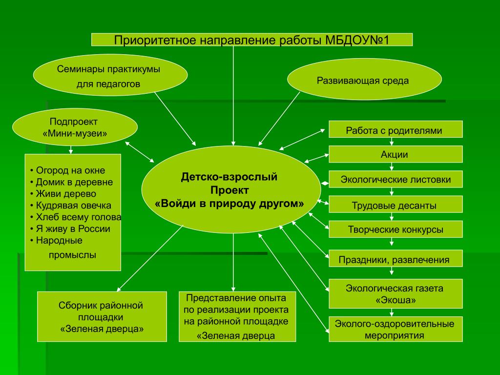 Направления экологического образования. Детско взрослые проекты. Детско-взрослый проект в ДОУ. План детско-взрослого проекта в ДОУ. Экологическое направление в ДОУ.