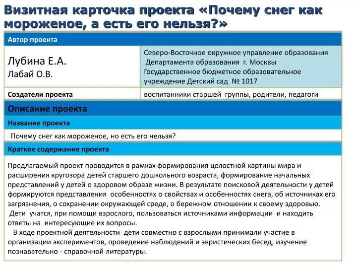 Визитка проекта пример