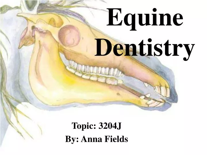 PPT Equine Dentistry PowerPoint Presentation, free download ID3103666