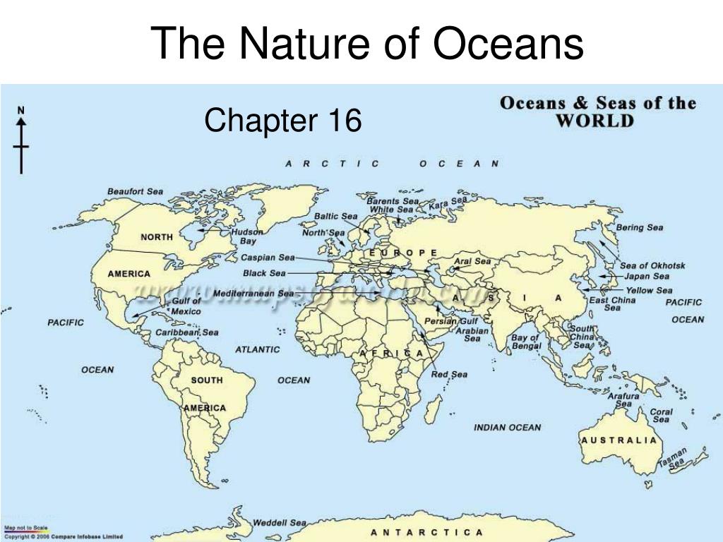 World s oceans. Map of Oceans and Seas. World Map with Seas and Oceans. World Map Oceans. Ocean World.