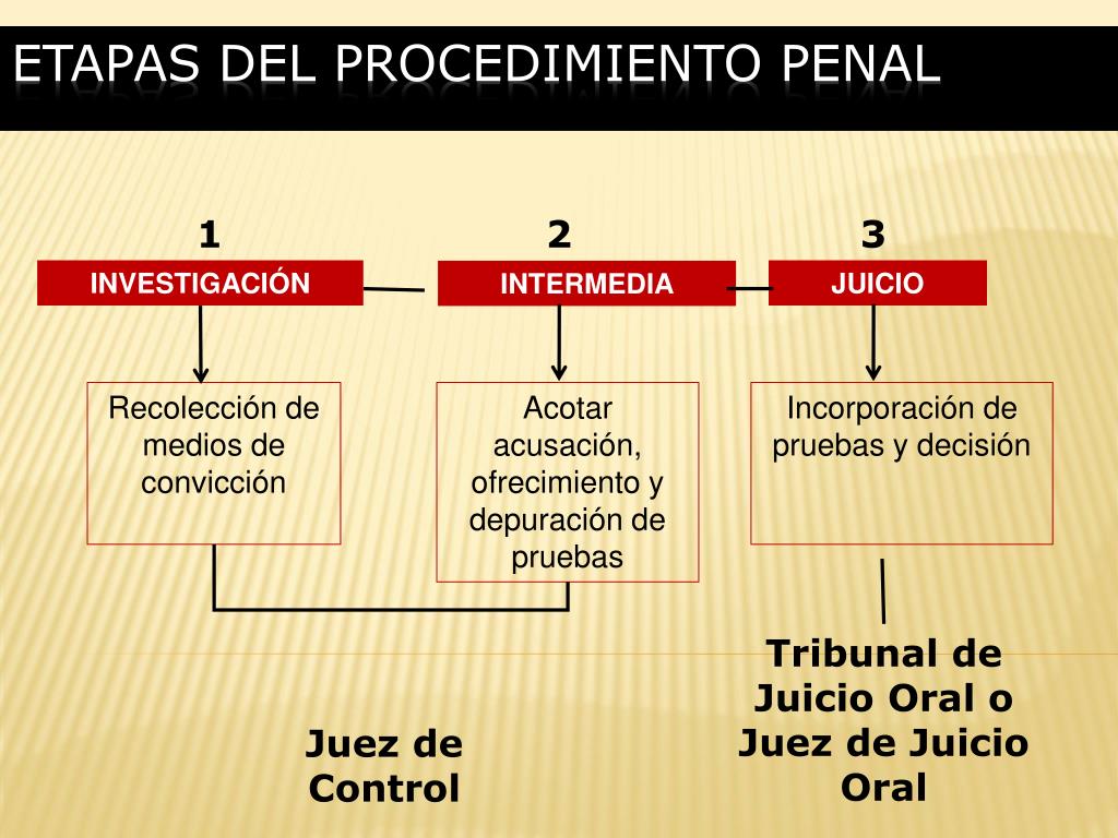 Sistema Penal Acusatorio Diagrama Explicativo Ppt Images 9547
