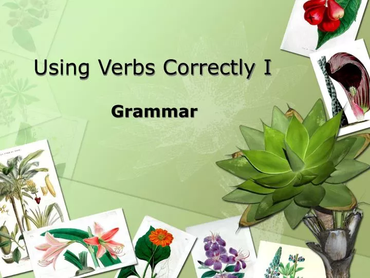 Using Verbs Correctly Worksheet