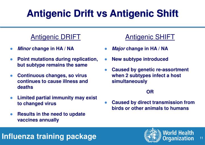 antigenic shift antigenic shift