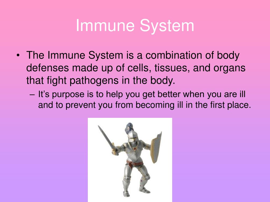 how does the immune system work
