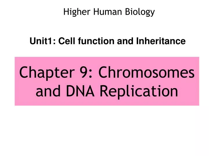 chapter 9 chromosomes and dna replication n.