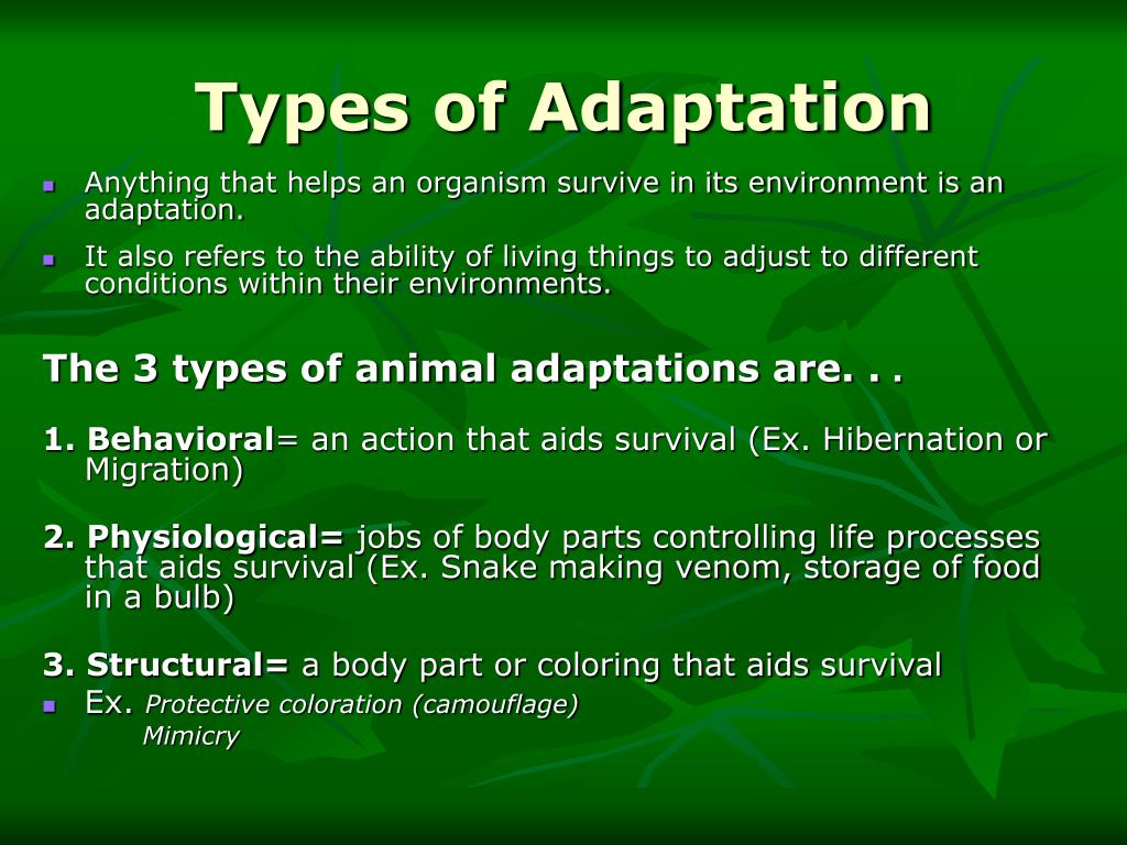 PPT - Animal Adaptations PowerPoint Presentation, free download - ID