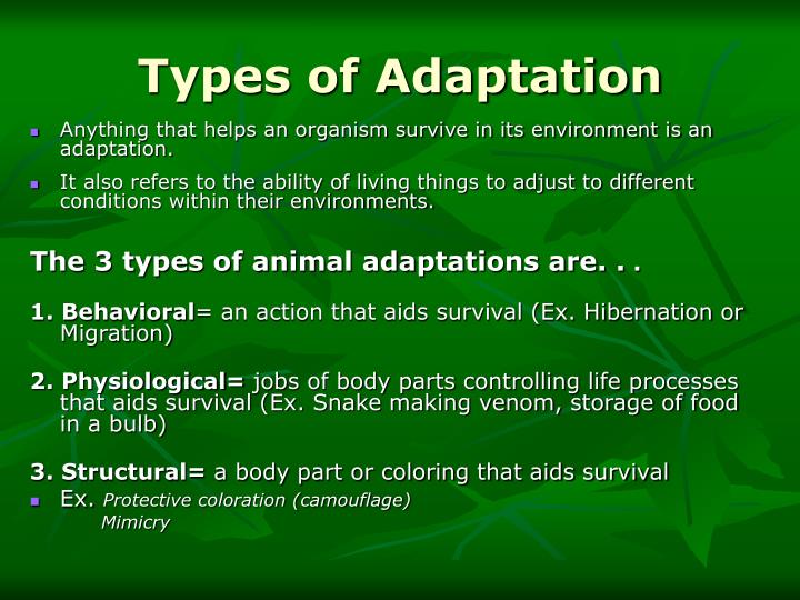 PPT - Animal Adaptations PowerPoint Presentation - ID:3108652