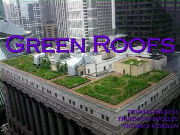 green roofs n.