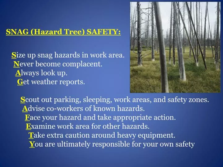 PPT SNAG (Hazard Tree) SAFETY PowerPoint Presentation, free download