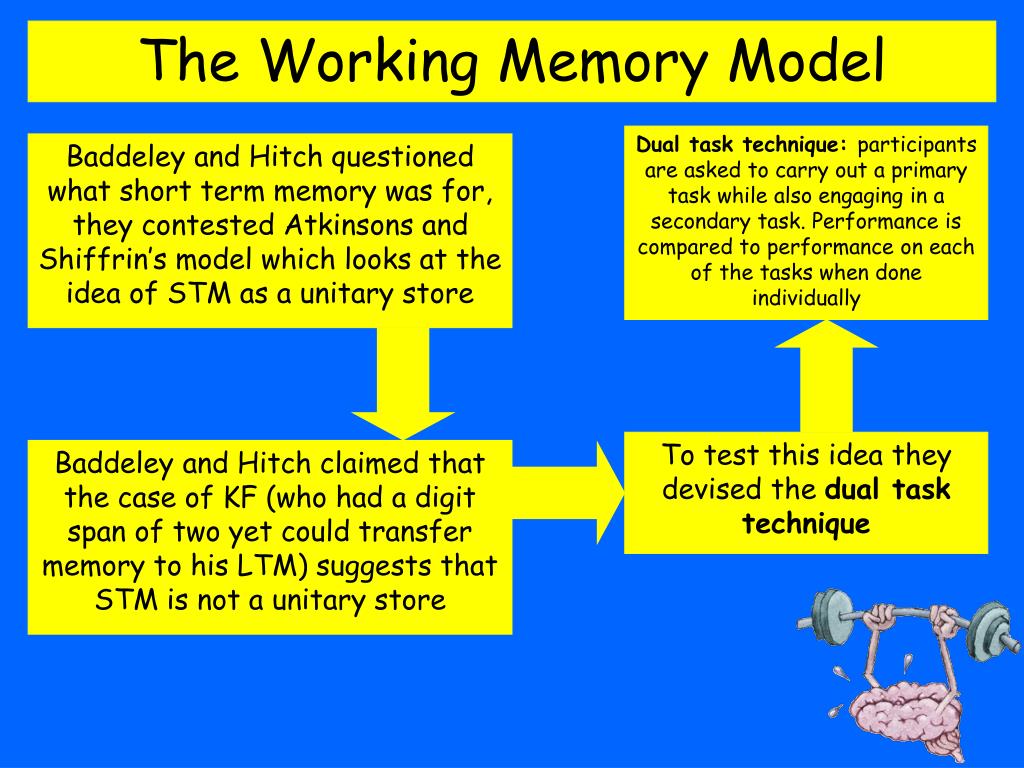 presentation time working memory