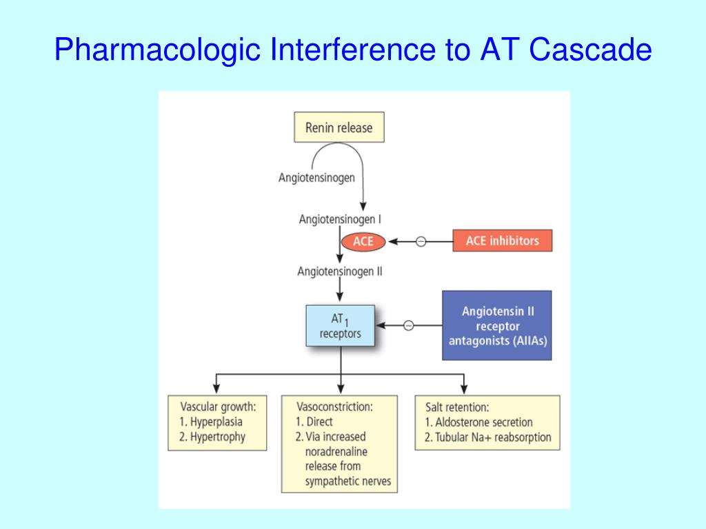 How To Improve Drug Dosing For Patients With Renal Impairment How To Improve Drug Dosing For Patients With Renal Impairment