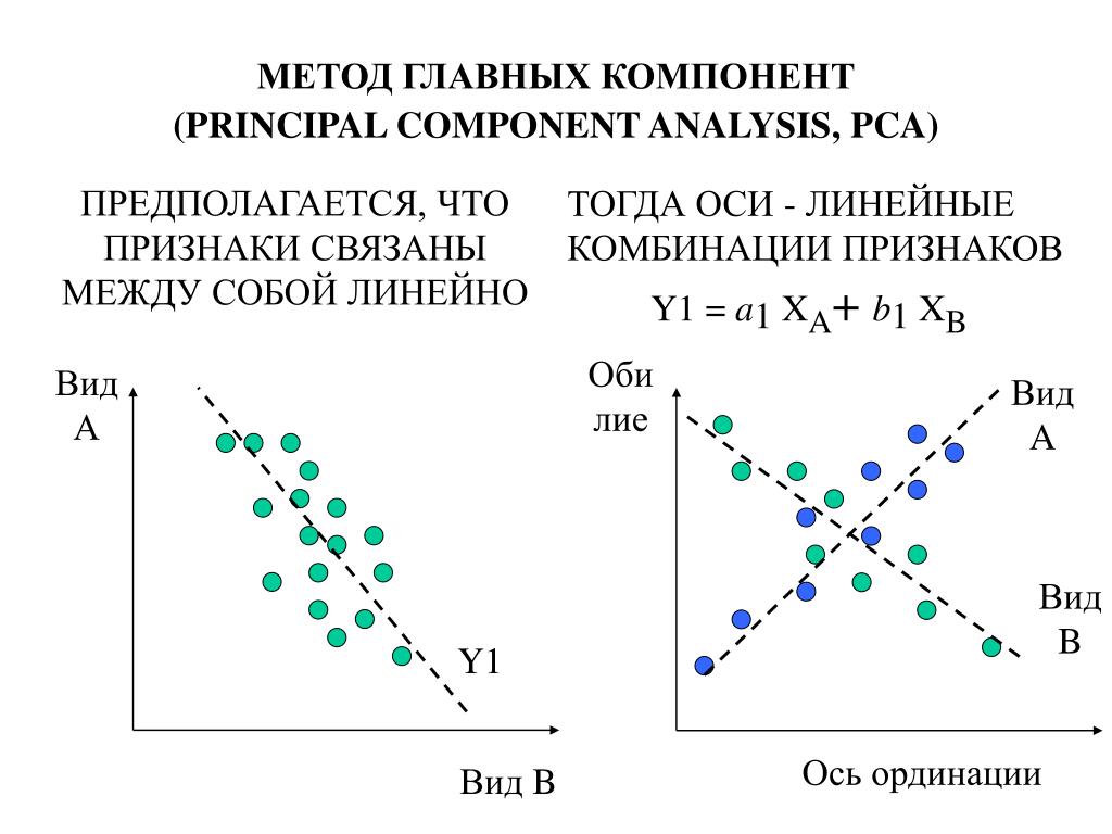 Метод главные роли