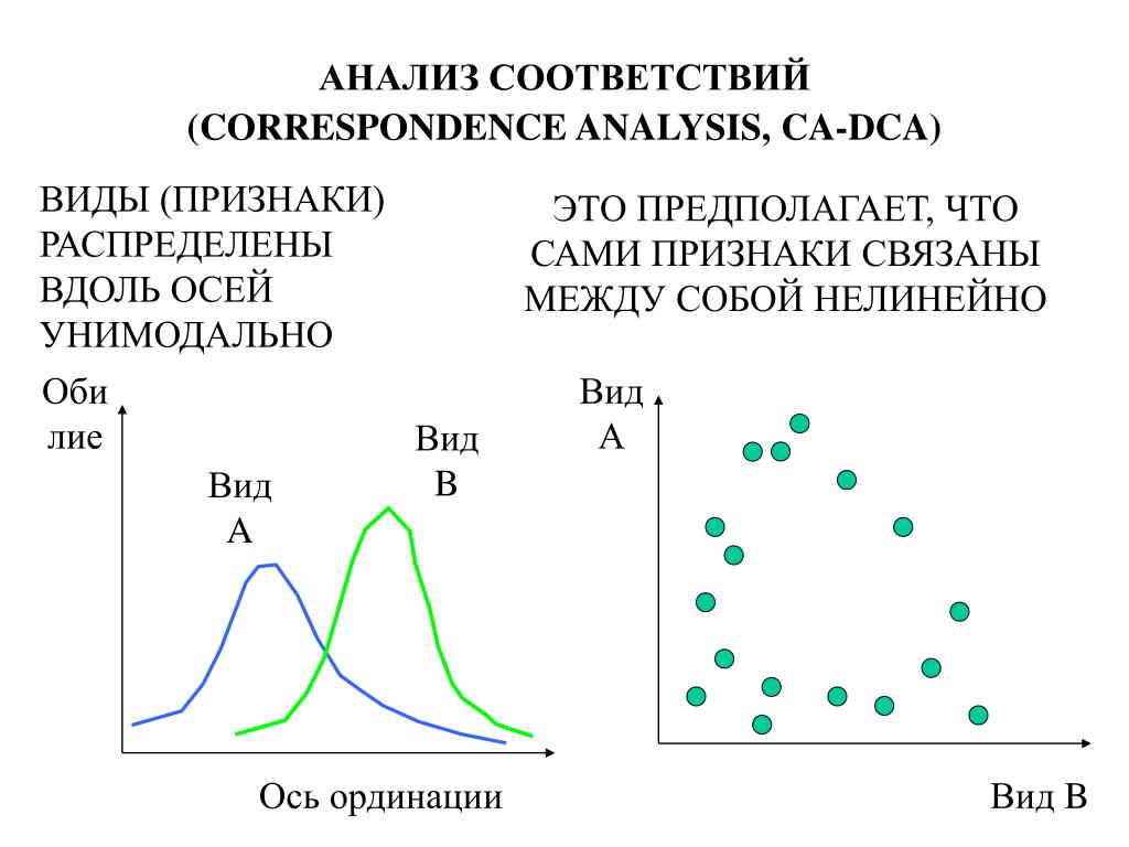 Исследование соответствия. Анализ соответствия (Correspondence Analysis. Анализ соответствий. Анализ соответствий пример. Анализ соответствий статистика.