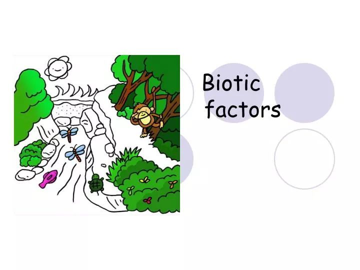 biotic factors n.