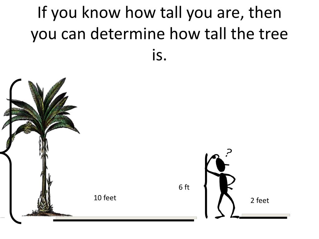 If you know how tall you are, then you can determine how.