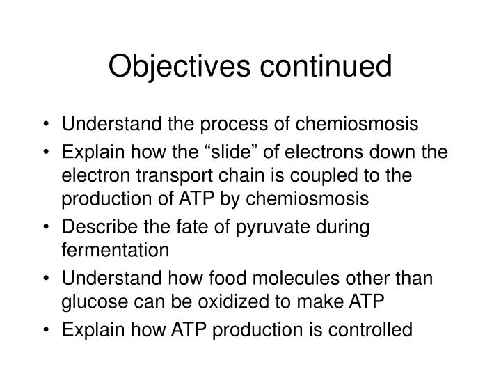 😊 Describe the process of chemiosmosis. Photosynthesis