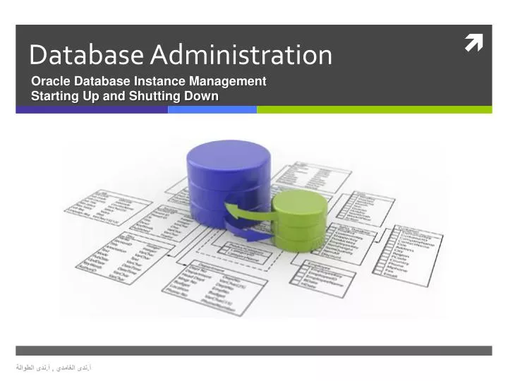 PPT - Database Administration PowerPoint Presentation, free download ...