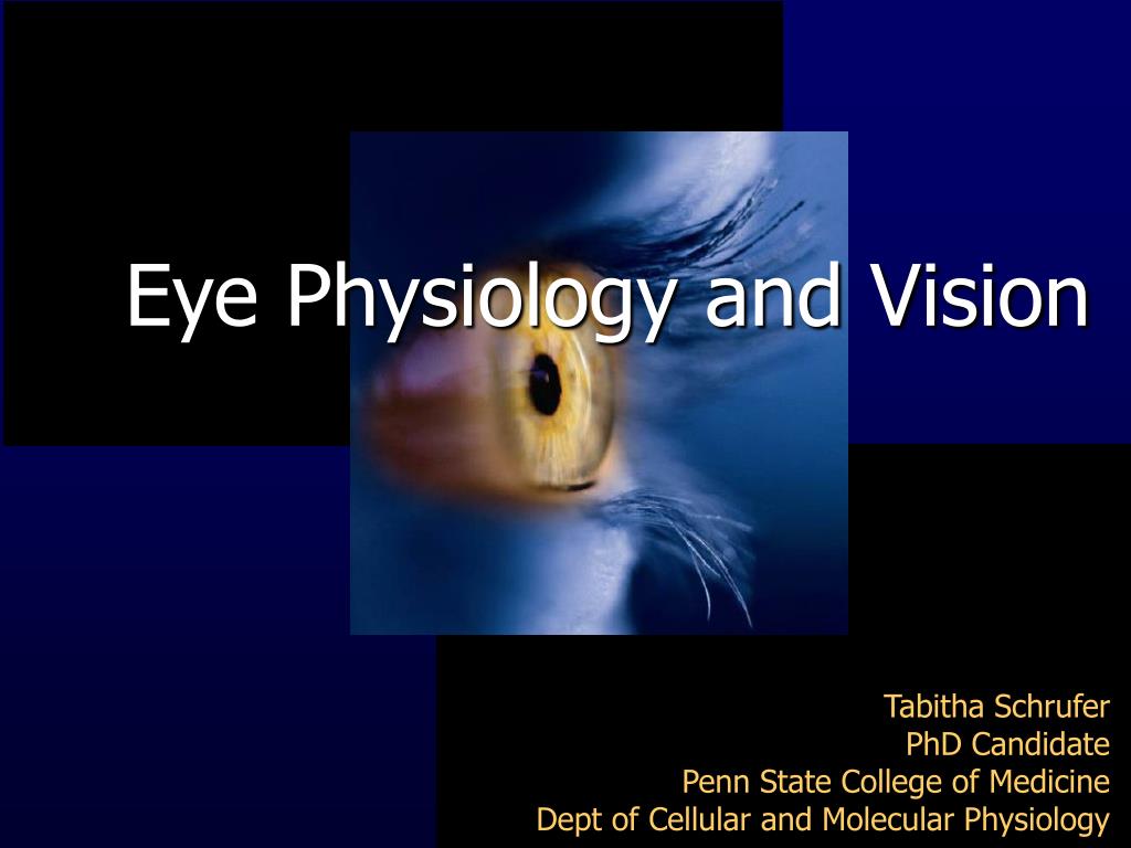 eye physiology and vision l