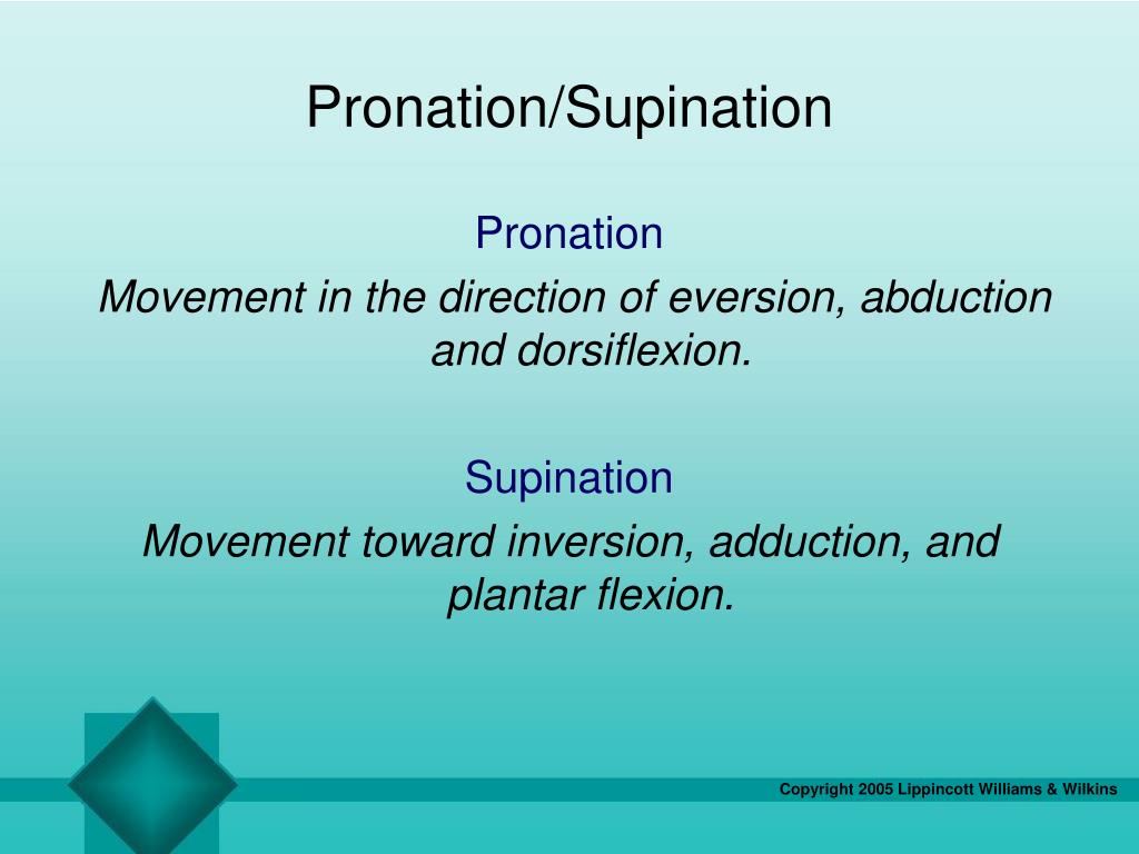 PPT - Chapter 22 The Ankle and Foot PowerPoint Presentation, free