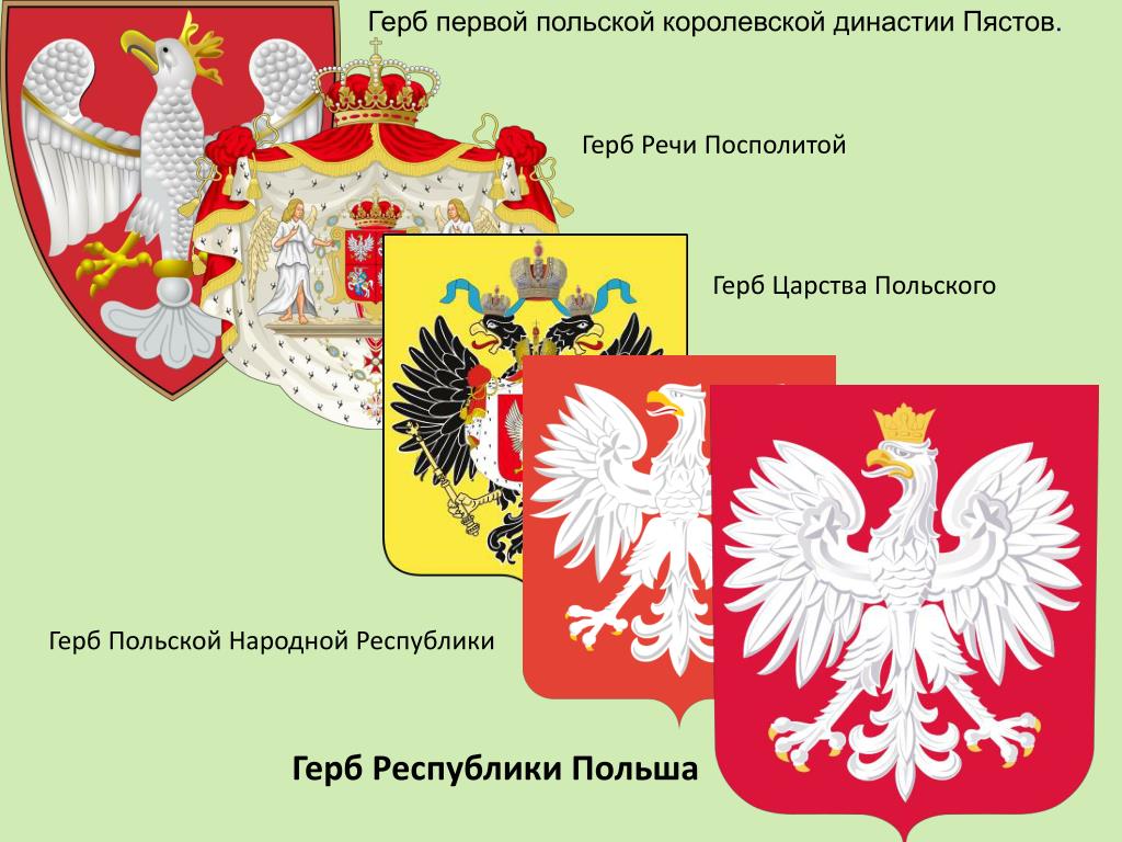 Королевская история и система дворянских титулов Европы. Польша. Часть 1 История,Королевские династии,Монархия