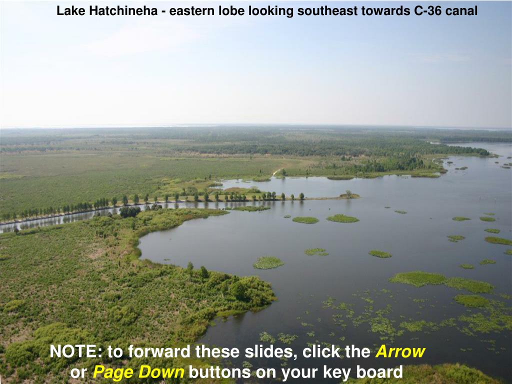 PPT Lake Hatchineha eastern lobe looking southeast towards C36