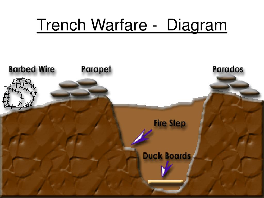 Trench Warfare Diagram
