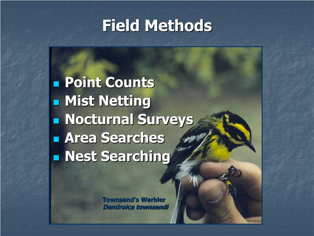 PPT - Avian Species Inventory -- Manzanar National Historic Site and ...