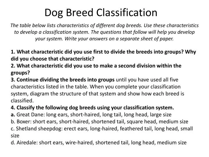 classification essay about types of pets