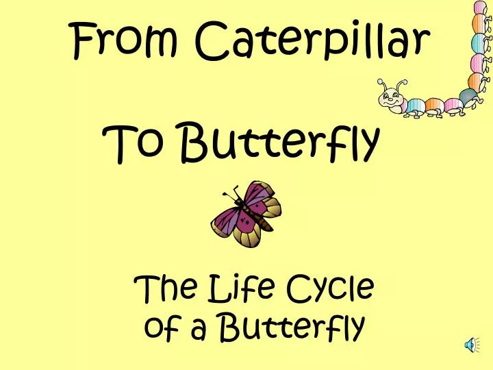 caterpillar apa