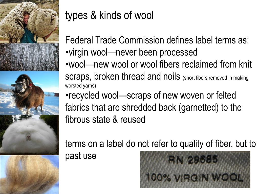 PPT - FASH 15 textiles natural protein fibers—wool PowerPoint ...