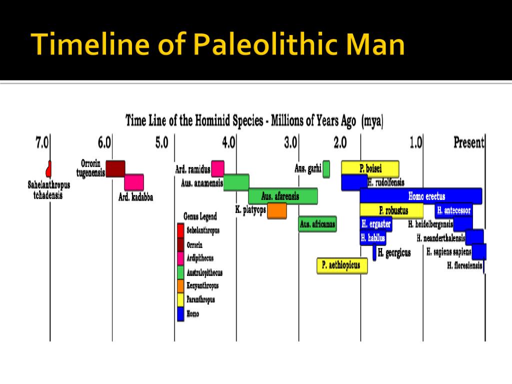 Paleolithic Timeline
