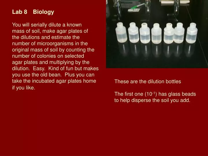 PPT Lab 8 Biology You will serially dilute a known mass of soil, make