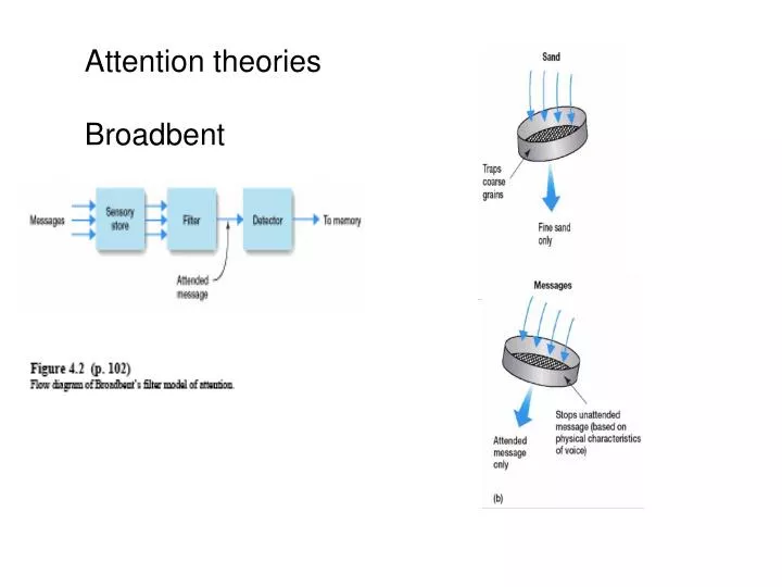 PPT - Attention theories Broadbent PowerPoint Presentation, free download -  ID:3121137
