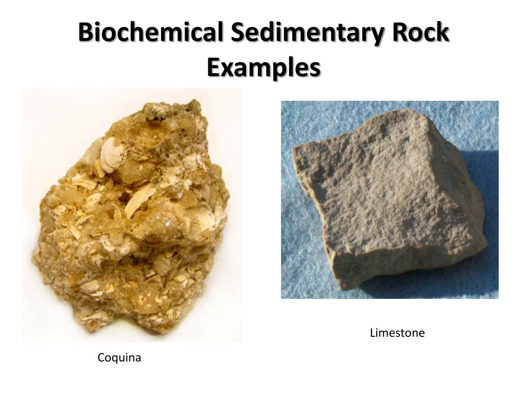Biochemical Sedimentary Rocks