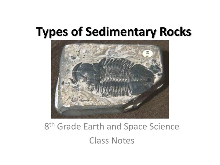 types of sedimentary rocks n.