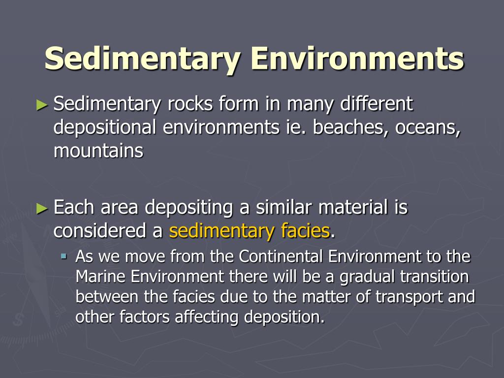 PPT - Sedimentary Rocks PowerPoint Presentation, free download - ID:3122273