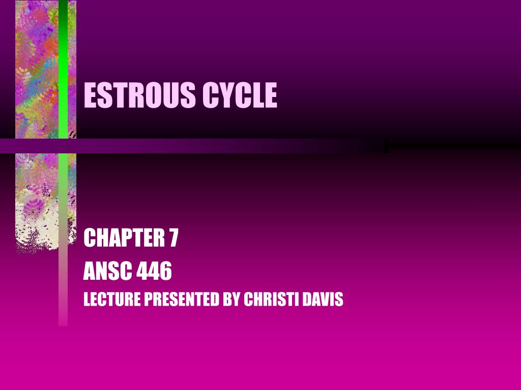 PPT - ESTROUS CYCLE PowerPoint Presentation, free download - ID:3122851