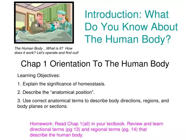 Ppt Introduction What Do You Know About The Human Body Powerpoint