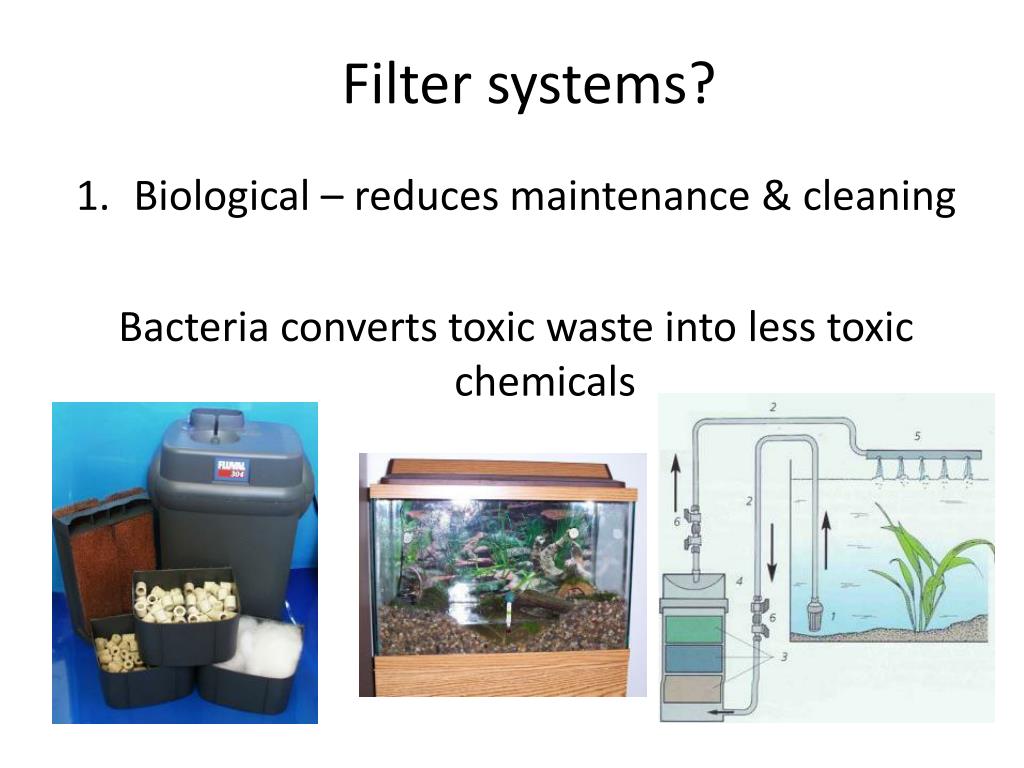 Image showcasing PPT - Fresh Water Aquarium Equipment PowerPoint Presentation, free ...