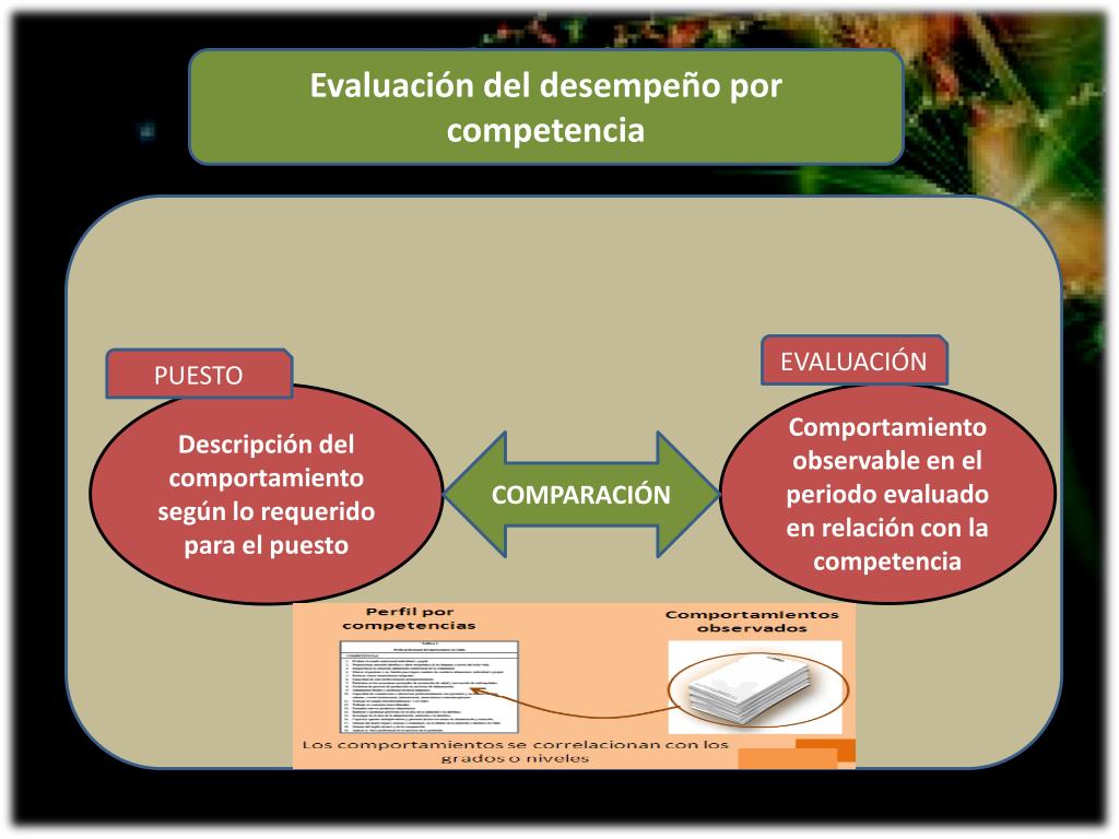 Evaluacion De Desempeño Por Competencias Definicion