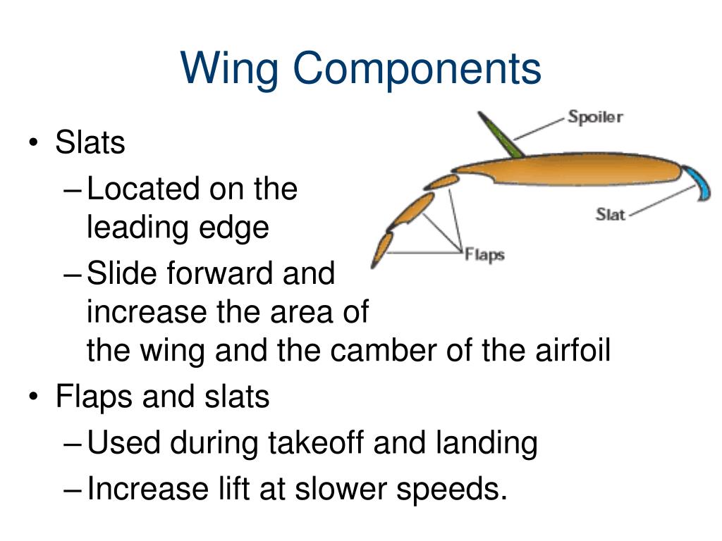 wing presentation 1