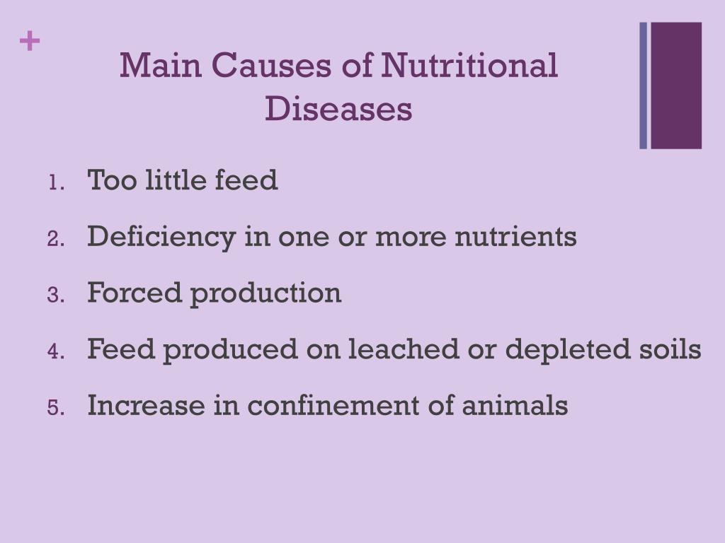 PPT - Nutritional Diseases in Livestock PowerPoint Presentation, free download - ID:3124720 PPT - Nutritional Diseases in Livestock PowerPoint Presentation, free download - ID:3124720