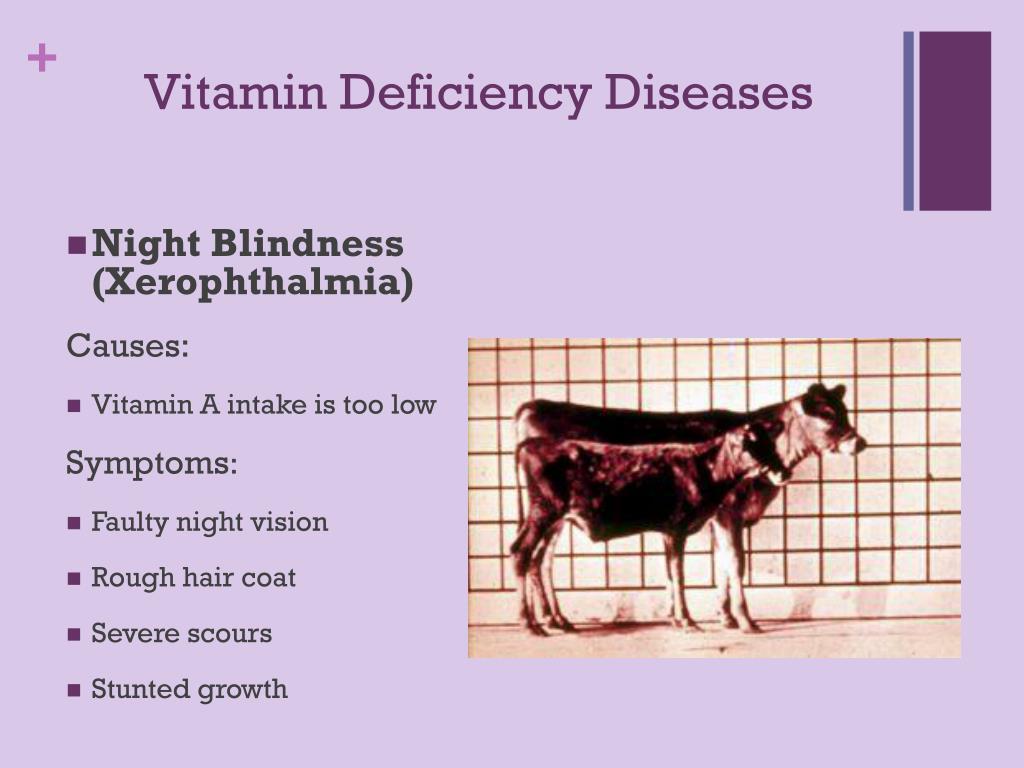 PPT - Nutritional Diseases in Livestock PowerPoint Presentation, free  download - ID:3124720